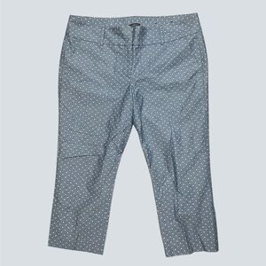 Ann Taylor Petite Capri Pants